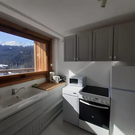 Skis Aux Pieds Proche Centre, Balcon, Parking, Animaux Admis - Fr-1-514-33 Apartment