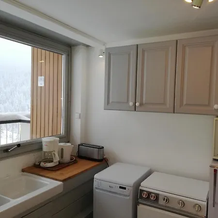 Skis Aux Pieds Proche Centre, Balcon, Parking, Animaux Admis - Fr-1-514-33 Apartment *